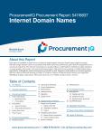 Internet Domain Names in the US - Procurement Research Report