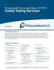 Coiled Tubing Services in the US - Procurement Research Report