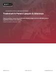 Trademark & Patent Lawyers & Attorneys in the US - Industry Market Research Report