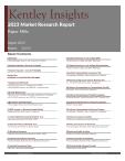 Paper Mills - 2023 U.S. Market Research Report with Updated COVID-19 & Recession Risk Forecasts