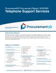 Telephone Support Services in the US - Procurement Research Report
