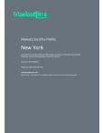 New York - Comprehensive Overview of the City, PEST Analysis and Analysis of Key Industries including Technology, Tourism and Hospitality, Construction and Retail
