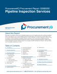 Pipeline Inspection Services in the US - Procurement Research Report