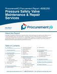 Pressure Safety Valve Maintenance & Repair Services in the US - Procurement Research Report