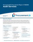 Audit Services in the US - Procurement Research Report
