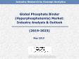 Global Phosphate Binder (Hyperphosphatemia) Market: Industry Analysis & Outlook (2019-2023)