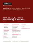 IT Consulting in New York - Industry Market Research Report