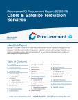 Cable & Satellite Television Services in the US - Procurement Research Report