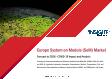Europe System on Module Market Forecast to 2028 - COVID-19 Impact and Regional Analysis By Processor Type, Application, and Standard