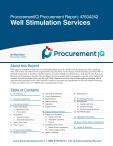 Well Stimulation Services in the US - Procurement Research Report