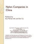 Insights into Chinese Nylon Producers: A Market Overview