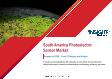 South America Photoelectric Sensor Market Forecast to 2028 - COVID-19 Impact and Regional Analysis By Technology and End-use