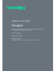 Shanghai - Comprehensive Overview of the City, PEST Analysis and Key Industries Including Technology, Tourism and Hospitality, Construction and Retail