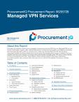 Managed VPN Services in the US - Procurement Research Report