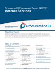 Internet Services in the US - Procurement Research Report