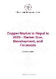 Copper Market in Nepal to 2020 - Market Size, Development, and Forecasts