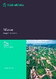 Mexico Mizton Project Panorama - Oil and Gas Upstream Analysis Report