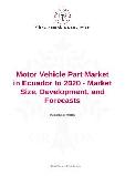 Motor Vehicle Part Market in Ecuador to 2020 - Market Size, Development, and Forecasts