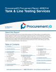 Tank & Line Testing Services in the US - Procurement Research Report