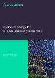 Quantum Energy Inc - Oil & Gas - Deals and Alliances Profile