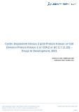 Cyclin Dependent Kinase 2 (p33 Protein Kinase or Cell Division Protein Kinase 2 or CDK2 or EC 2.7.11.22) - Drugs in Development, 2021