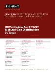 Natural Gas Distribution in Texas - Industry Market Research Report