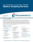 Mystery Shopping Services in the US - Procurement Research Report