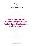 Electric Accumulator Market in Georgia to 2020 - Market Size, Development, and Forecasts