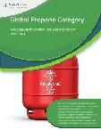 Global Propane Category - Procurement Market Intelligence Report