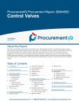 Control Valves in the US - Procurement Research Report