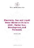 Electricity, Gas and Liquid Meter Market in China to 2020 - Market Size, Development, and Forecasts