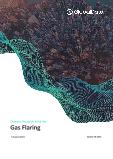 Gas Flaring - Thematic Research