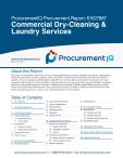Commercial Dry-Cleaning & Laundry Services in the US - Procurement Research Report