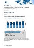 Japan 3rd Platform Market Forecast Update by Vertical and Company Size, 2016-2020