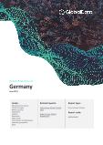 Germany Power Market Outlook to 2030, Update 2021 - Market Trends, Regulations, and Competitive Landscape