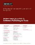 Software Publishing in Texas - Industry Market Research Report