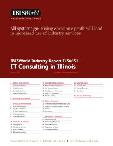 IT Consulting in Illinois - Industry Market Research Report