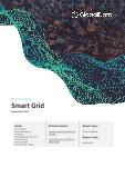 Smart Grid Policy Handbook 2021
