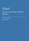  Brazil Green Hydrogen Market Report- Q4 2024