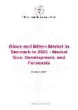 Glove and Mitten Market in Denmark to 2021 - Market Size, Development, and Forecasts