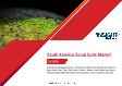 South America Scrub Suits Market Forecast to 2028 - COVID-19 Impact and Regional Analysis By Product Type, Fabric Type, and Distribution Channel