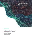 France Solar Photovoltaic (PV) Analysis - Market Outlook to 2030, Update 2021