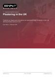 UK Plastering Sector: Comprehensive Business Investigation