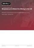 Molybdenum & Metal Ore Mining in the US - Industry Market Research Report