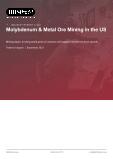 US Molybdenum and Metal Ore Mining: Industry Analysis Report