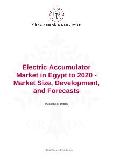 Electric Accumulator Market in Egypt to 2020 - Market Size, Development, and Forecasts