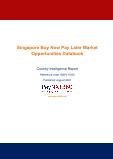 Singapore Buy Now Pay Later Business and Investment Opportunities (2019-2028) – 75+ KPIs on Buy Now Pay Later Trends by End-Use Sectors, Operational KPIs, Market Share, Retail Product Dynamics, and Consumer Demographics