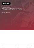 Amusement Parks in China - Industry Market Research Report