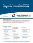 Corporate Treasury Services in the US - Procurement Research Report
