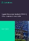 Cypark Resources Berhad (CYPARK) - Power - Deals and Alliances Profile